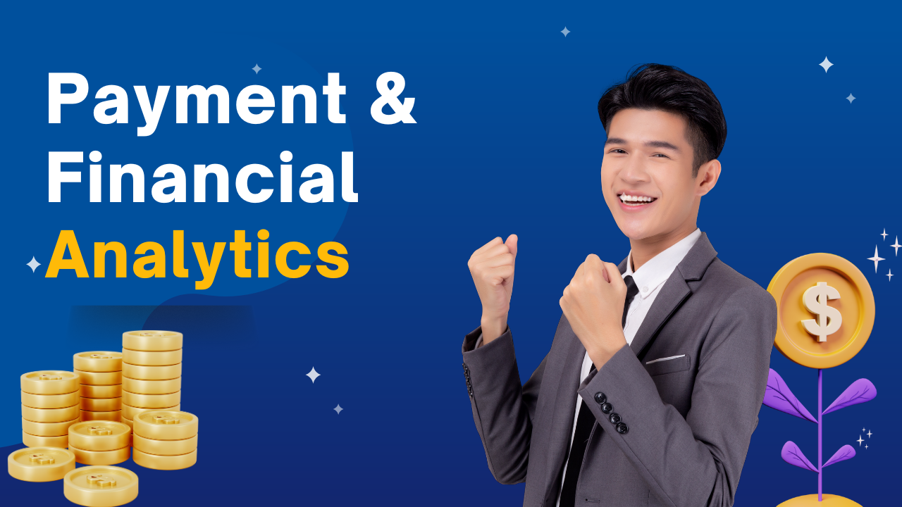Payment & Financial Analytics