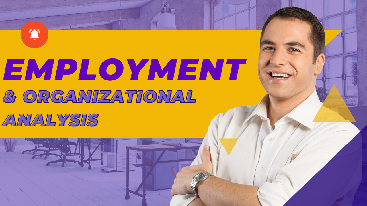 Employment and Organizational Analysis